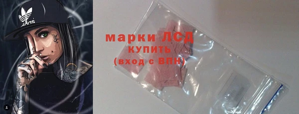 шишки Дмитриев