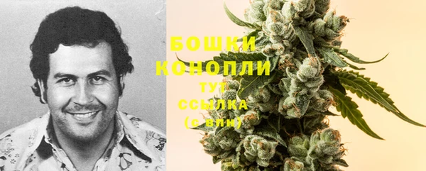 шишки Дмитриев