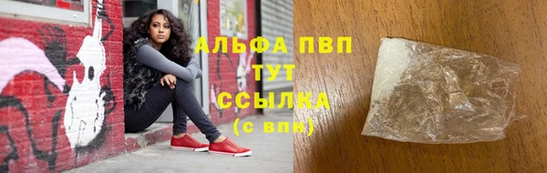 шишки Дмитриев