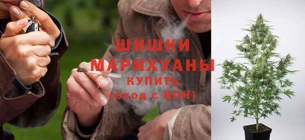 шишки Дмитриев