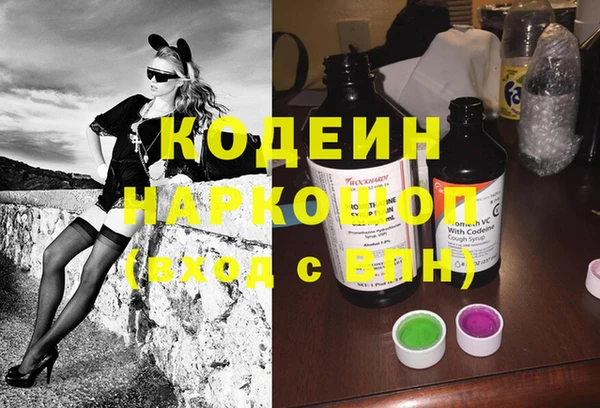 шишки Дмитриев