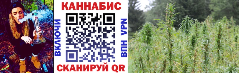 Марихуана OG Kush Кирс